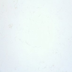 Кварцевый агломерат Namibia White GT8155 Still Stone